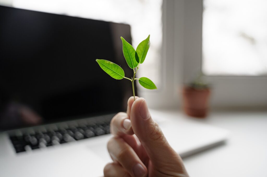 Hand with green plant on the laptop background. E-waste. Waste disposal professional, Waste clearance worker, rubbish removal expert